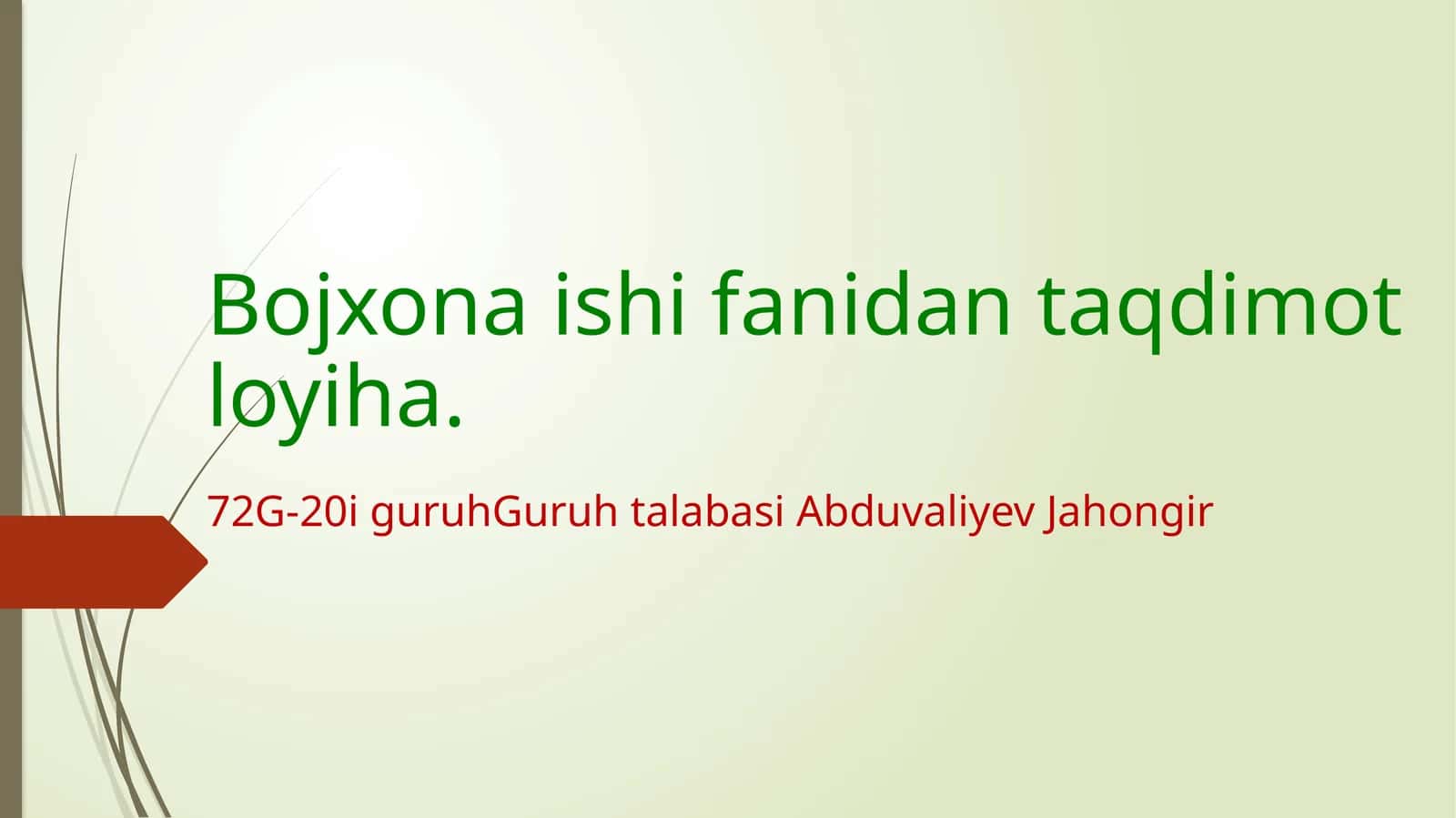 Bojxona ishifa nidan taqdimotlari