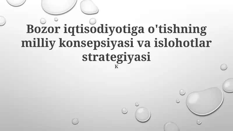Bozor iqtisodiyotiga o'tishning milliy konsepsiyasi va islohotlar strategiyasi