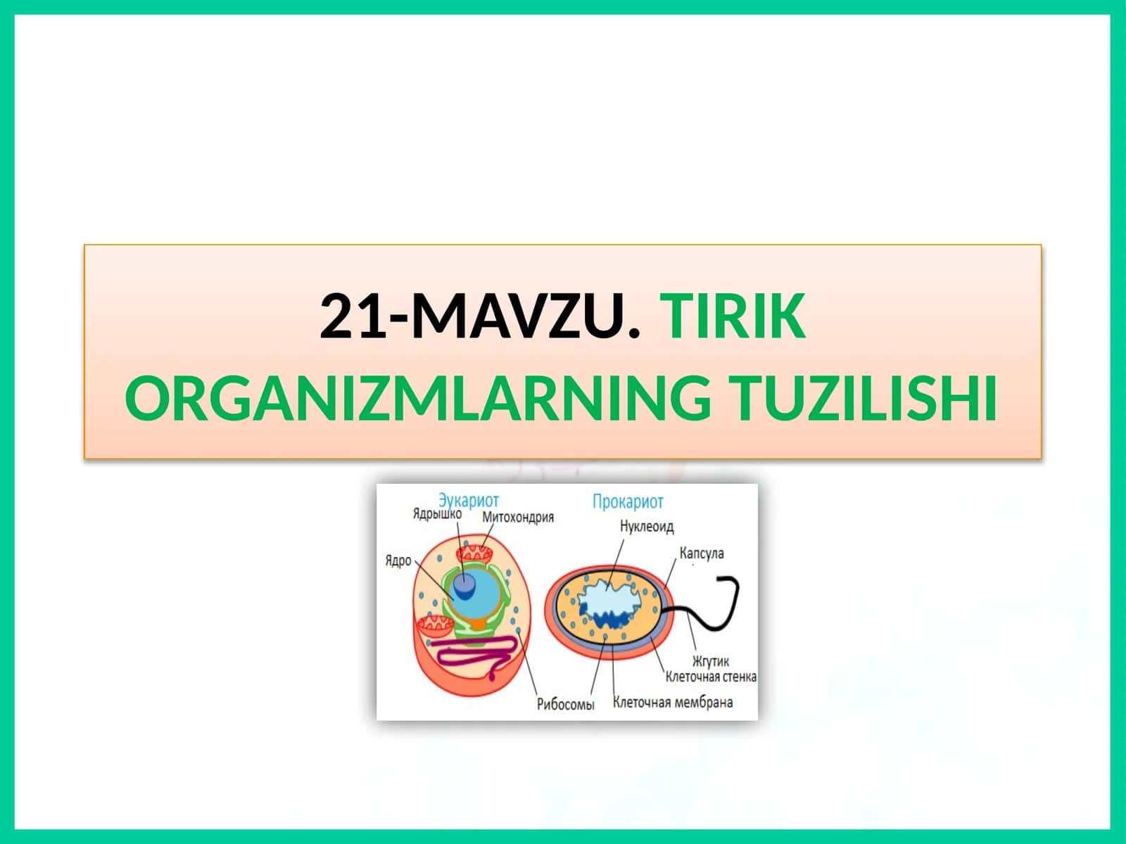 MAVZU.TIRIK ORGANIZMLARNING TUZILISHI