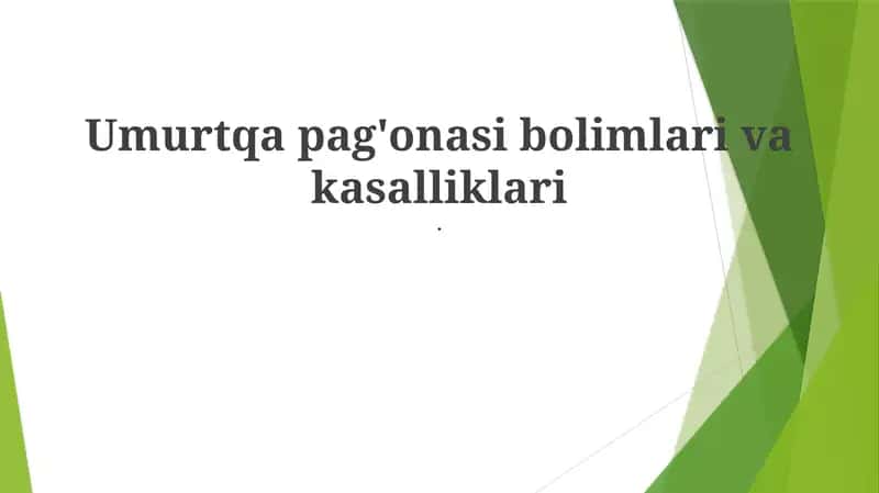 Bel umurtqasi