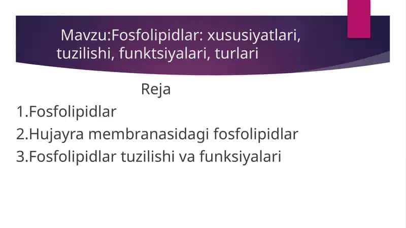 Fosfolipidlar: xususiyatlari, tuzilishi, funktsiyalari, turlari
