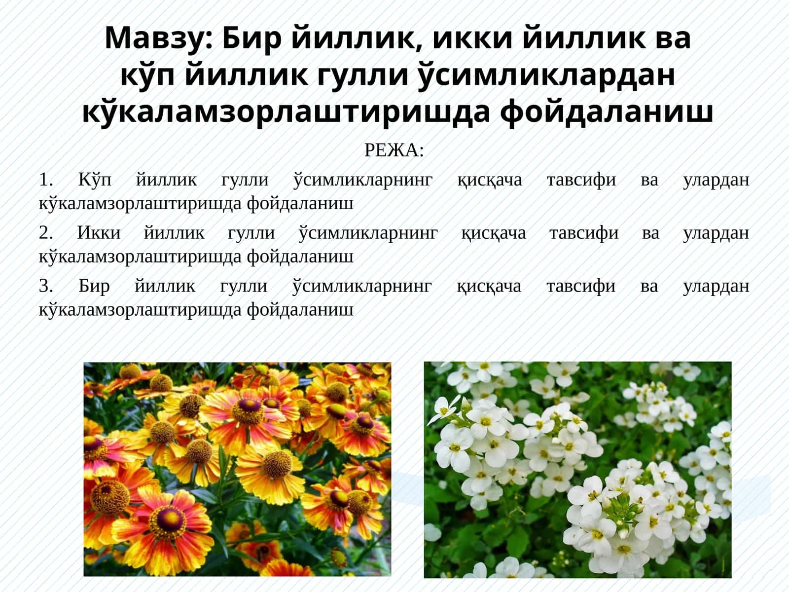 Бир йиллик, икки йиллик ва кўп йиллик гулли ўсимликлардан кўкаламзорлаштиришда фойдаланиш