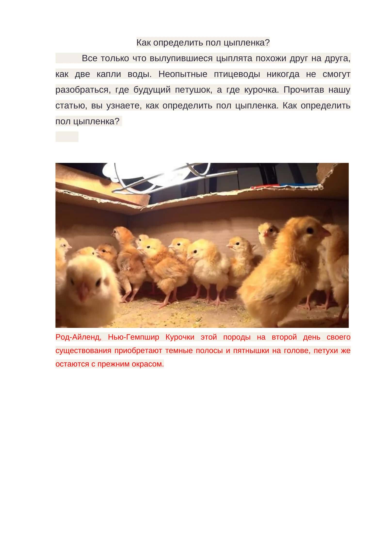 Как определить пол цыпленка?
