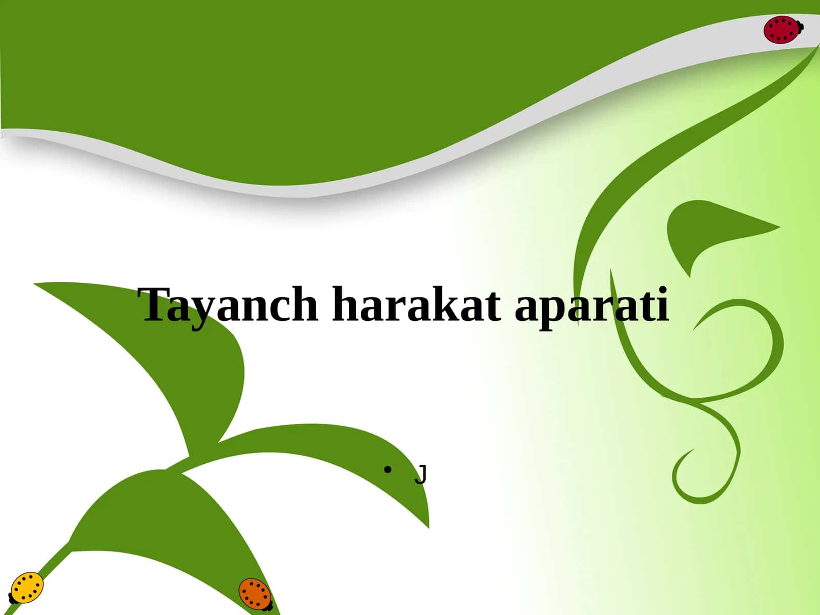 Tayanch harakat aparati