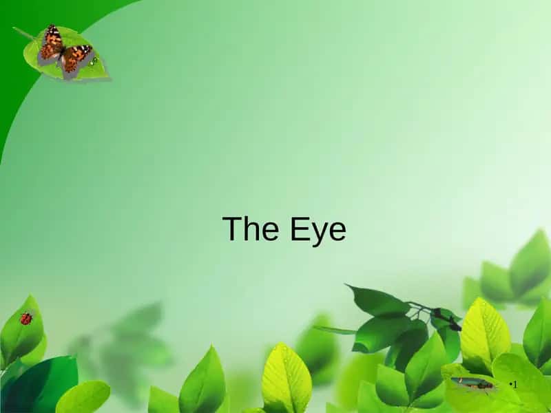 The Eye