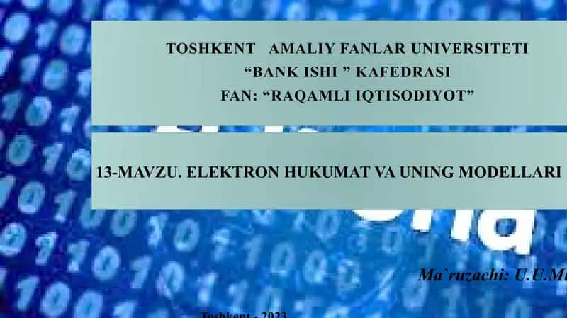 Elektron hukumat va uning modellari