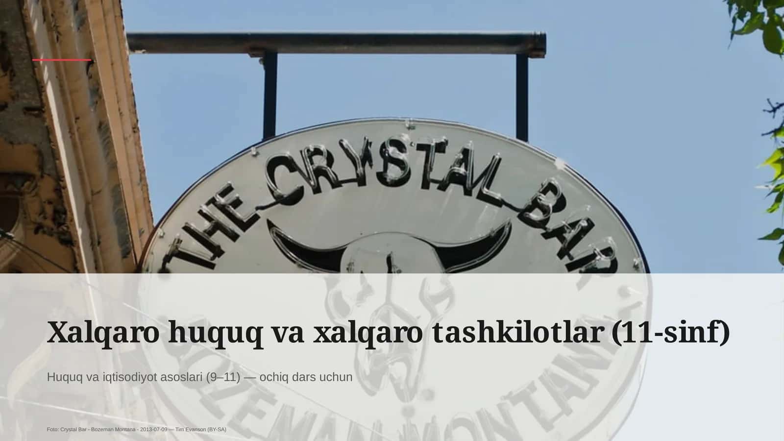 Xalqaro huquq va xalqaro tashkilotlar (11-sinf)