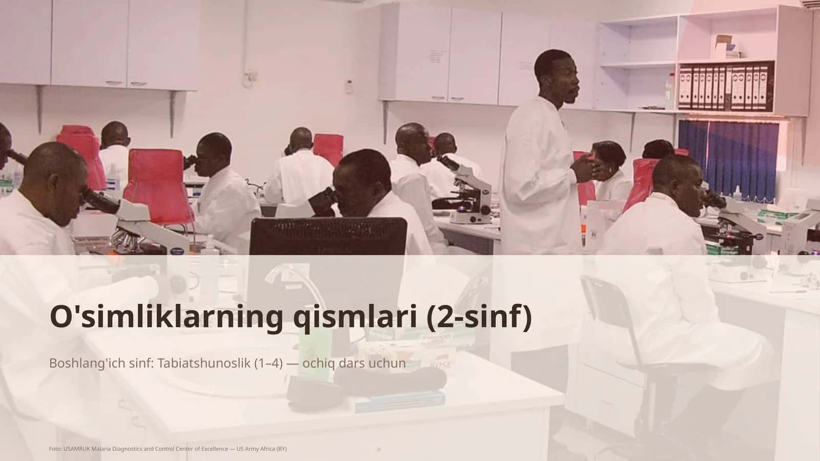 O'simliklarning qismlari (2-sinf)