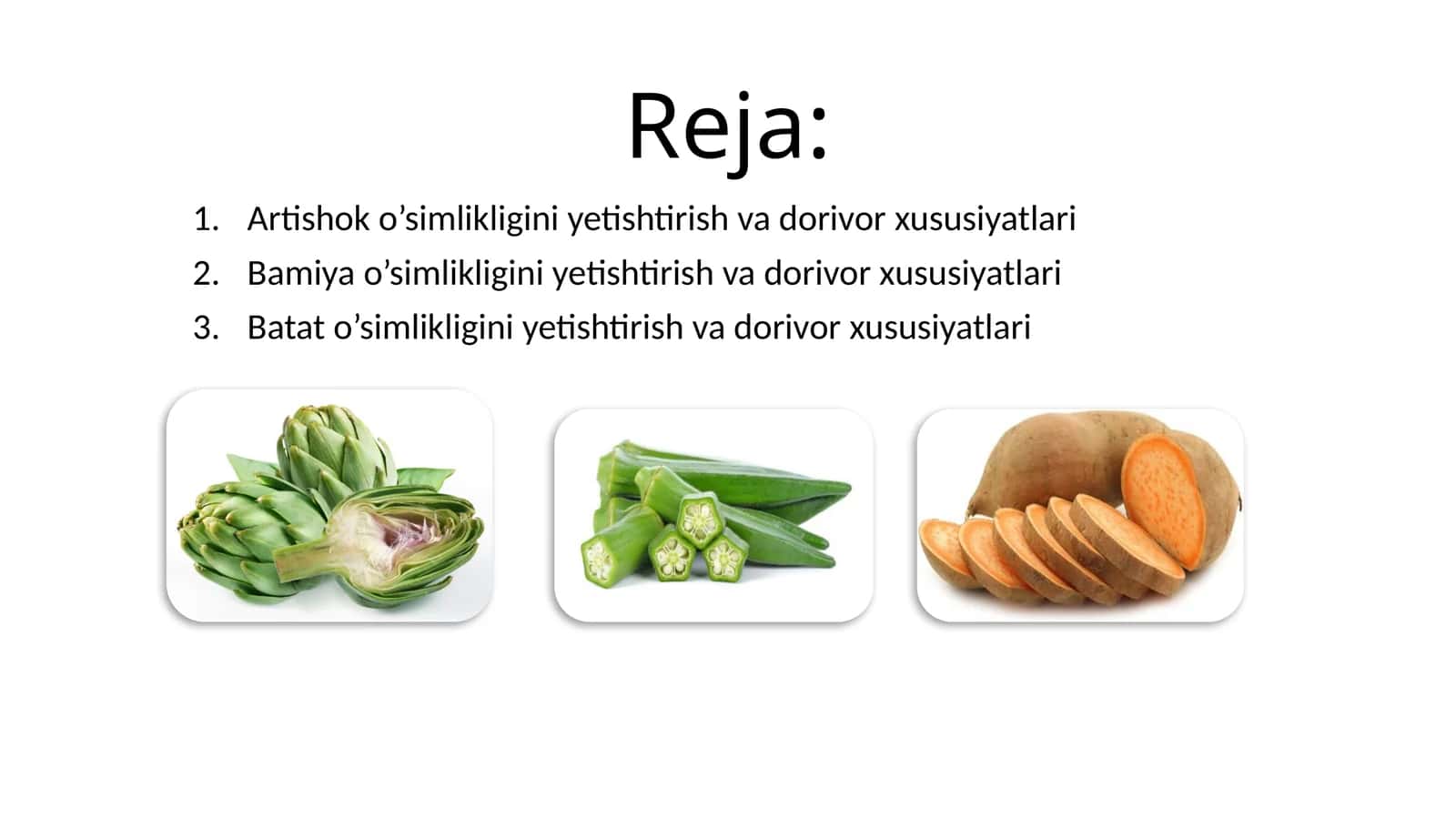 Artishok, Bamiya, Batat o’simliklarini yetishtirish tartibi va dorivor xususiyatlari