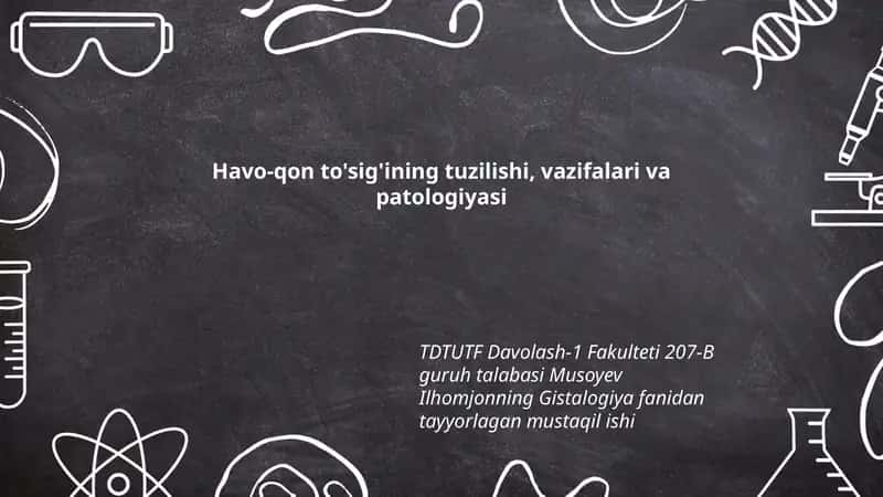 Hav va Qon To'sig'ining Tuzilishi, Vazifalari va Patologiyasi