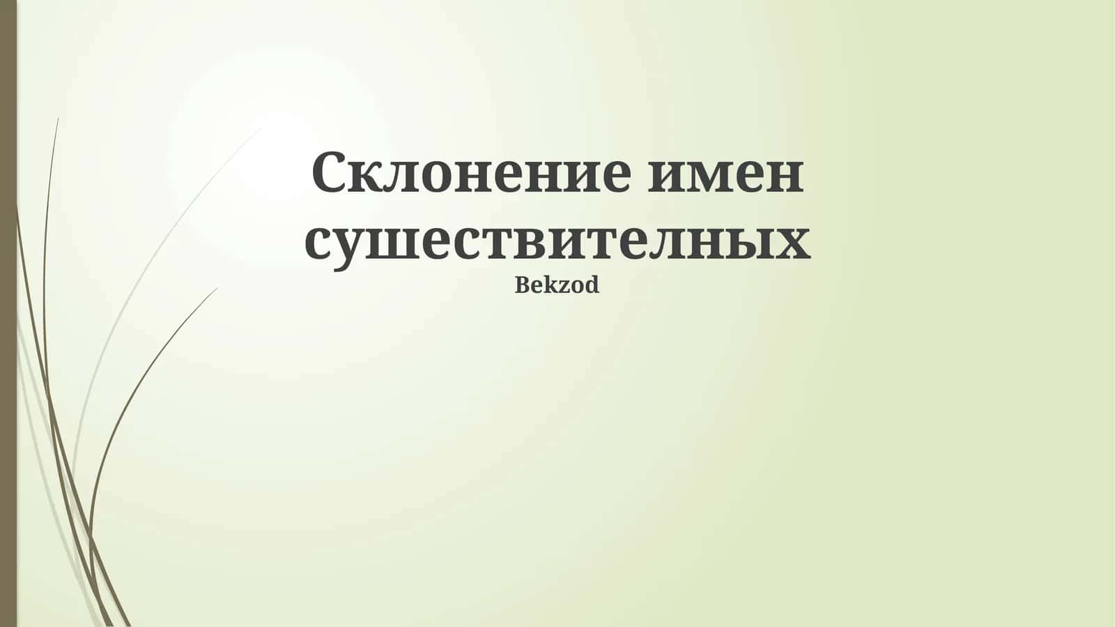 Склонение имен сушествителных