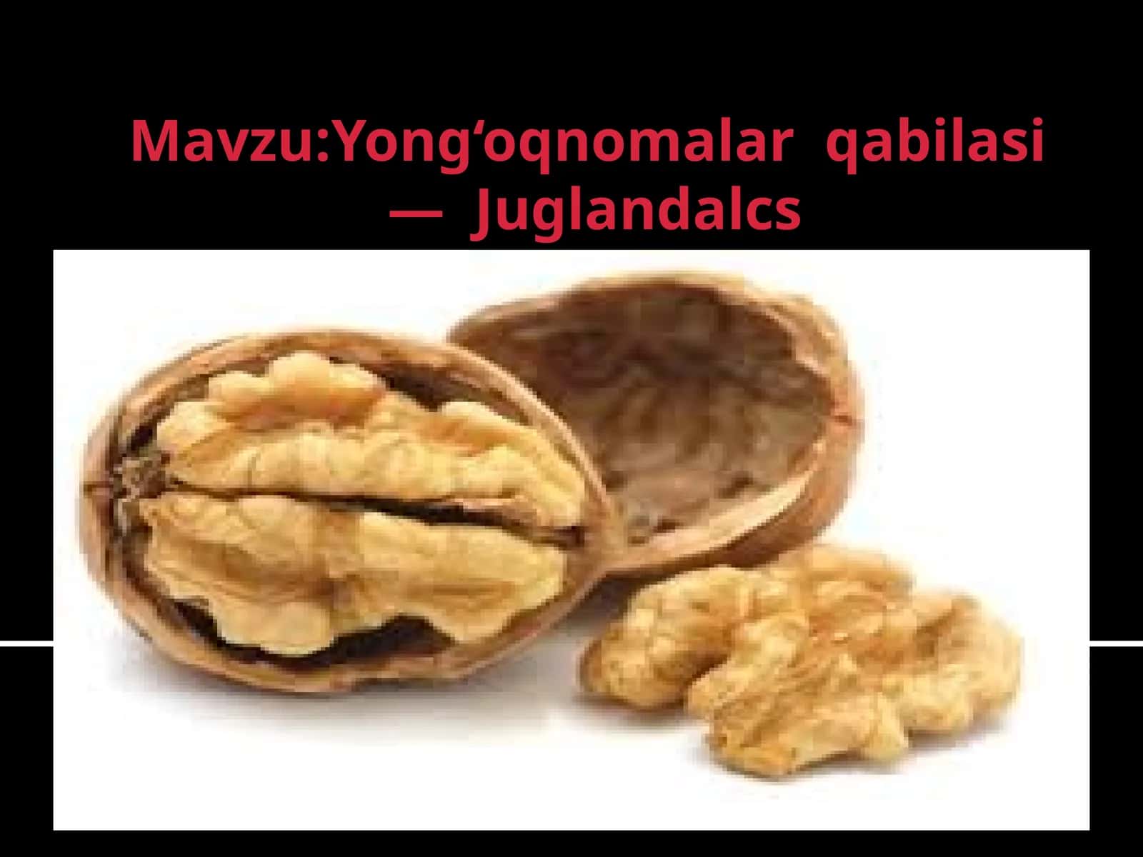 Yong‘oqnomalarqabilasi—Juglandalcs
