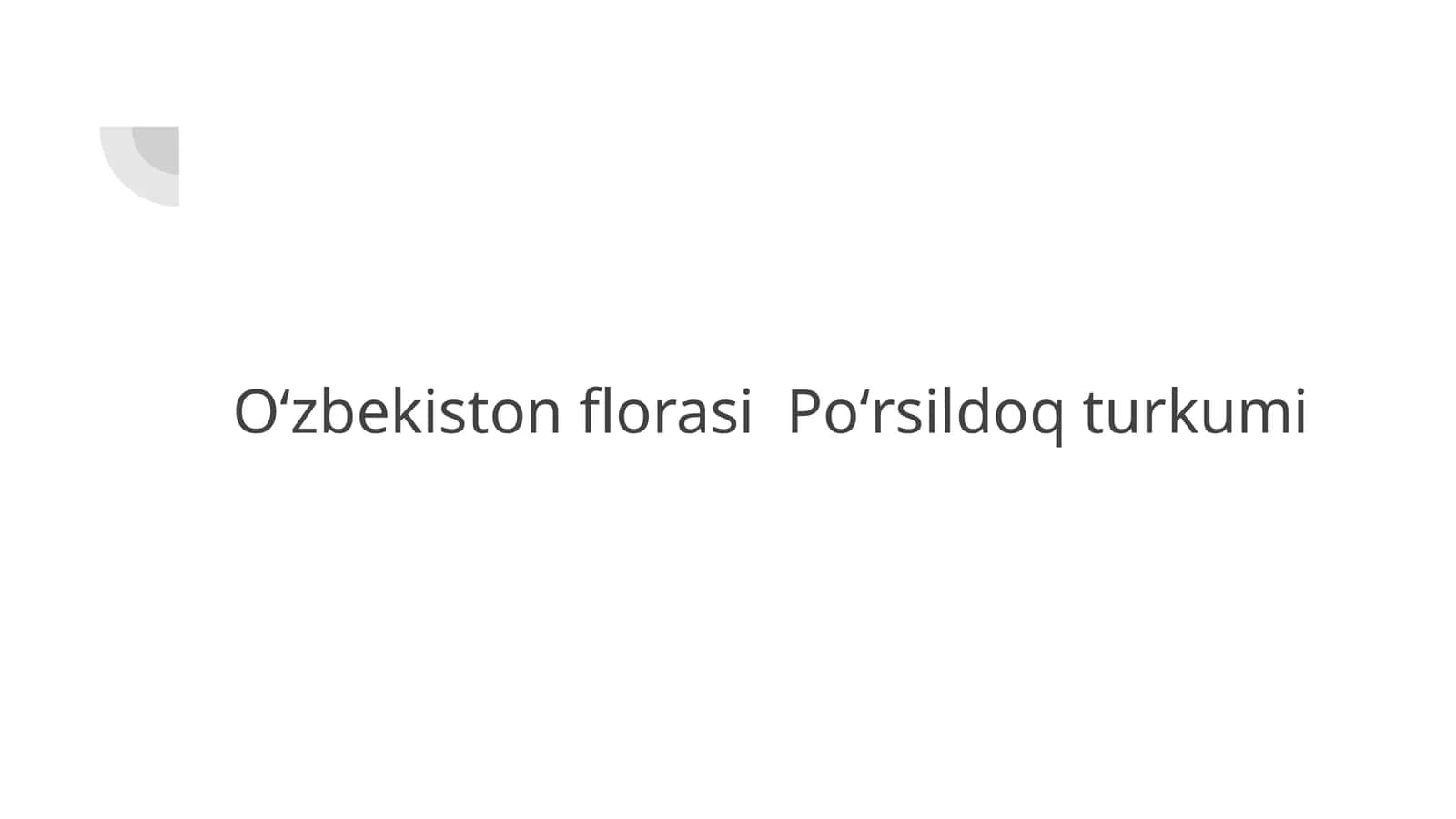 Poʻrsildoq turkumi