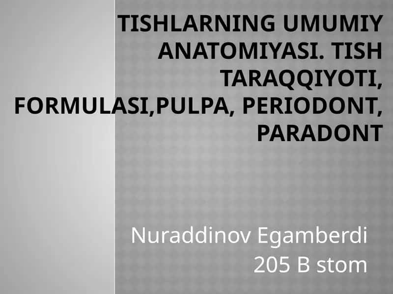 Tishlarning umumiy anatomiyasi