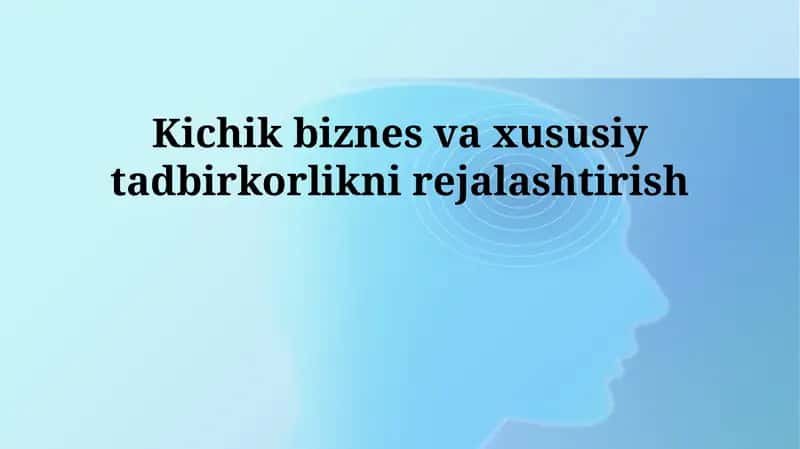Kichik biznes va xususiy tadbirkorlikni rejalashtirish