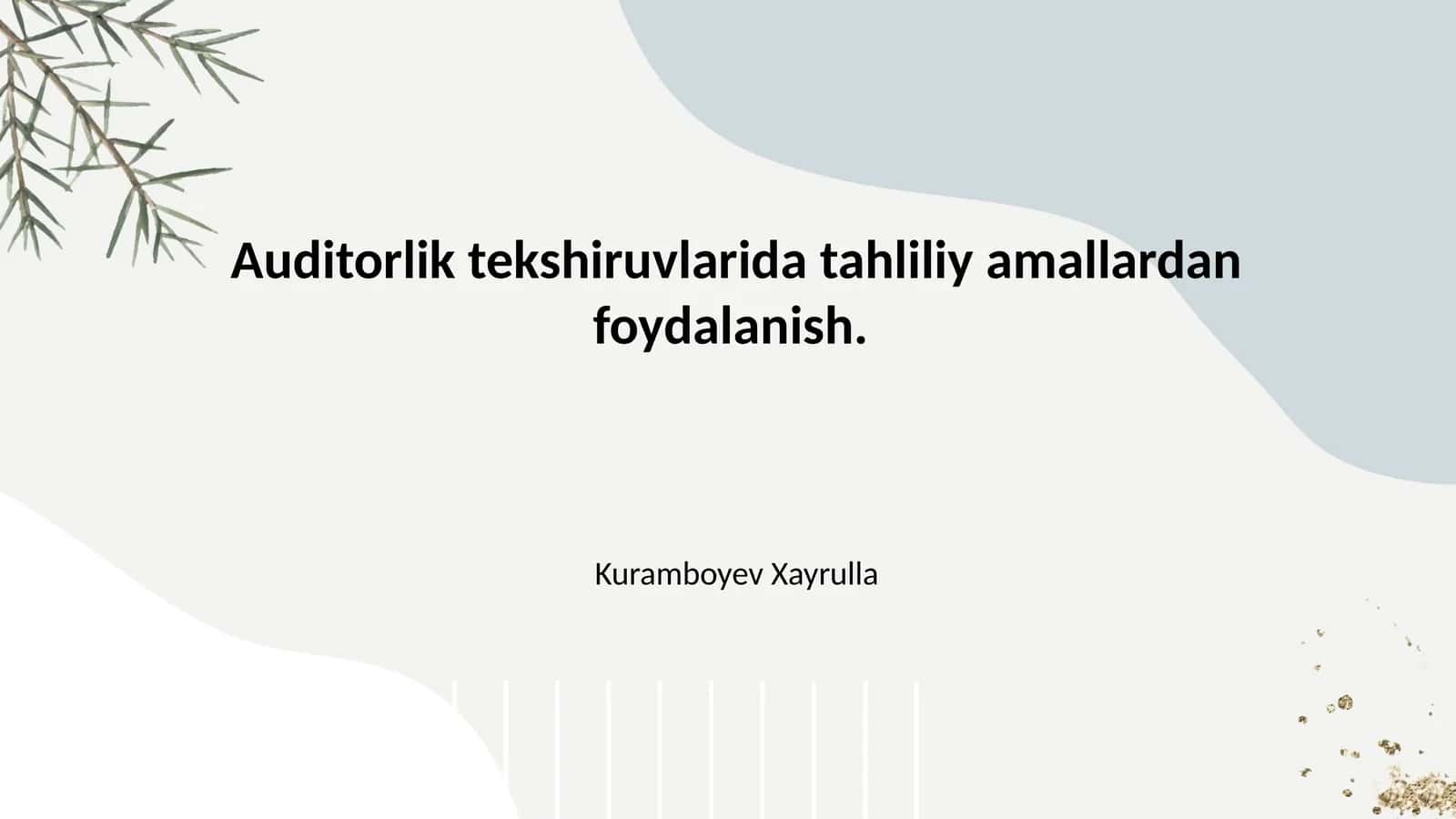 Auditorlik tekshiruvlarida tahliliy amallardan foydalanish.