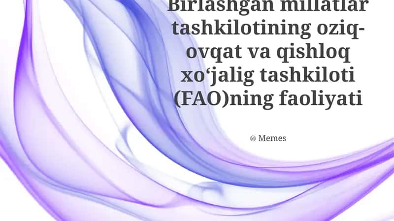 Qishloq ayollariga investitsiya dasturi