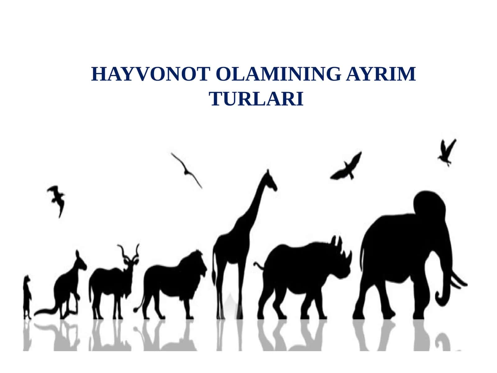 HAYVONOTOLAMINING AYRIM TURLARI