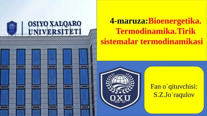 Bioenergetika