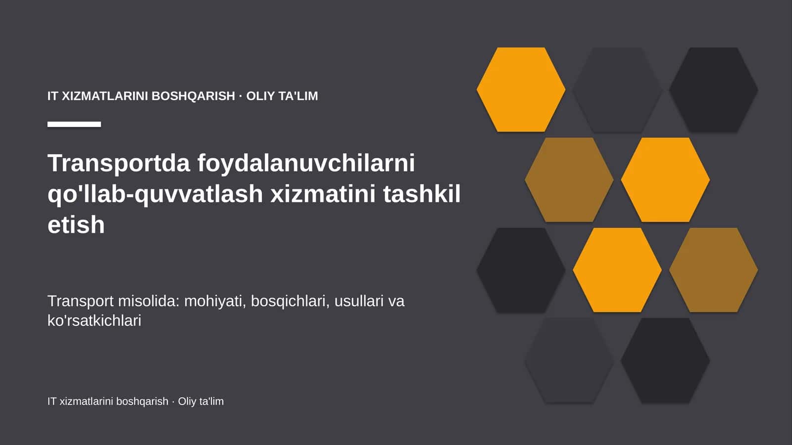 transportda foydalanuvchilarni qo'llab quvvatlash xizmatini tashkil etish 3381