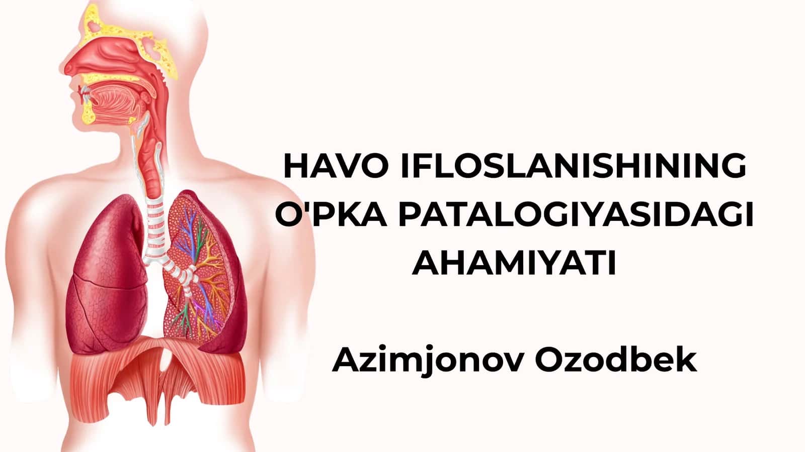 HAVO IFLOSLANISHINING O'PKA PATALOGIYASIDAGI AHAMIYATI
