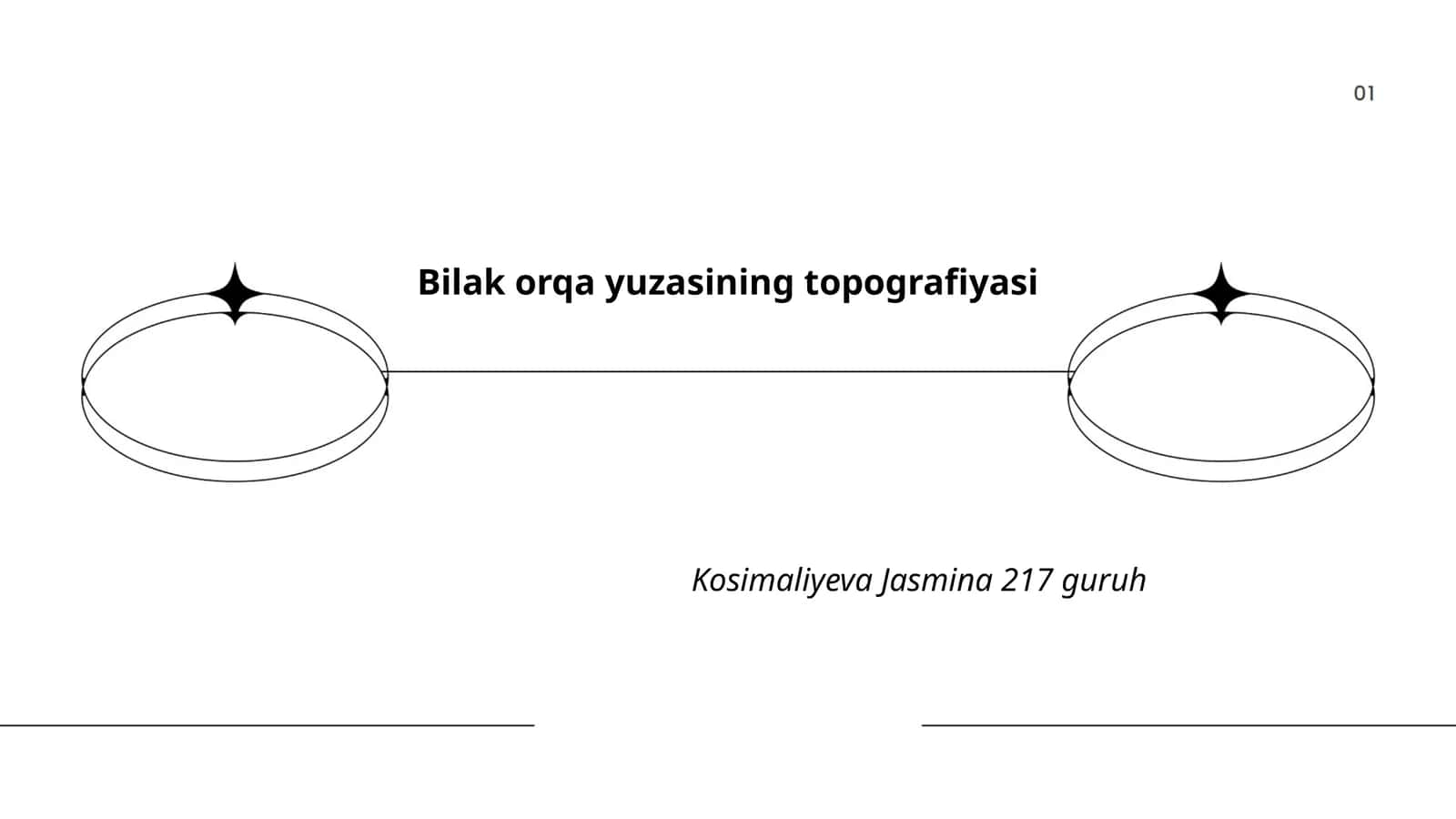 Bilak orqa yuzasining topografiyasi