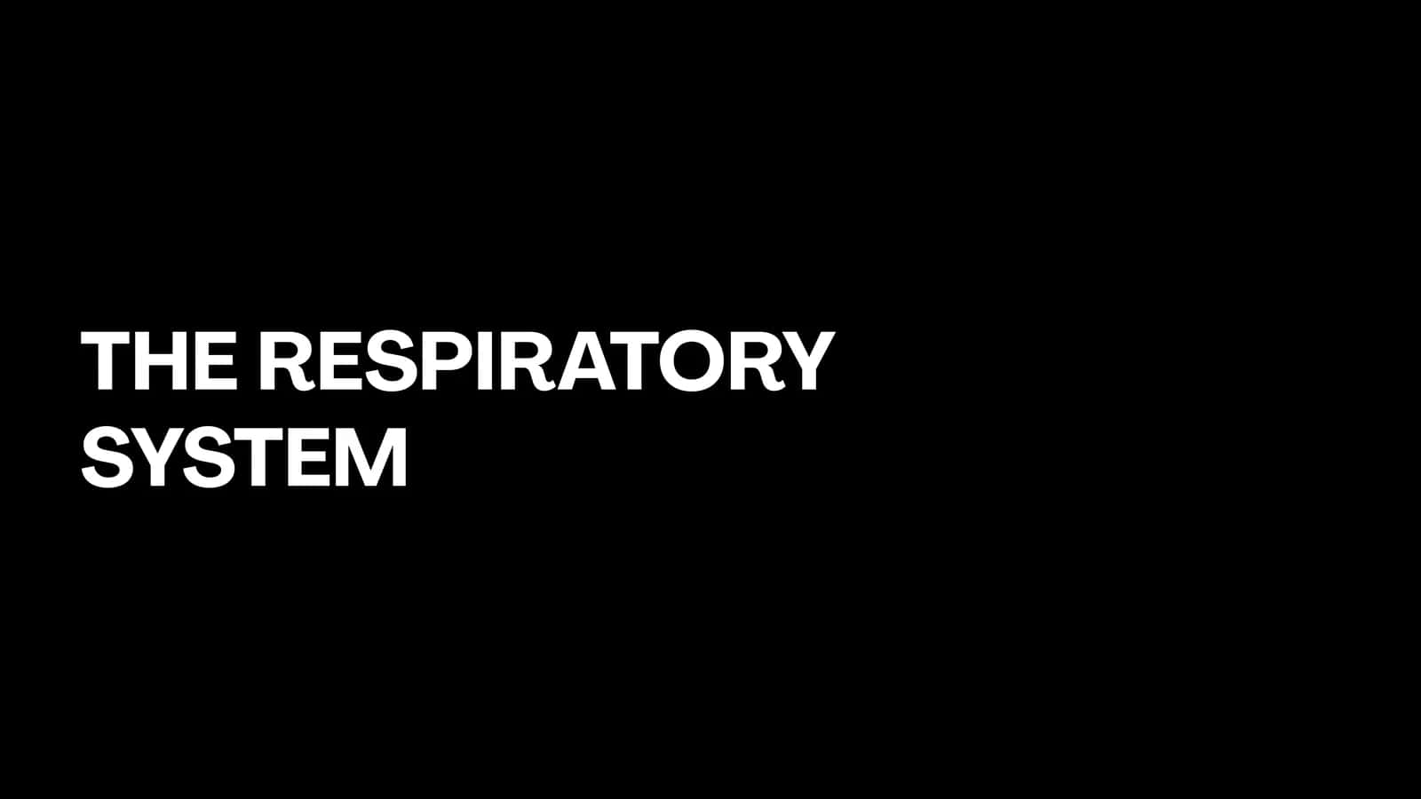 THE RESPIRATORY SYSTEM