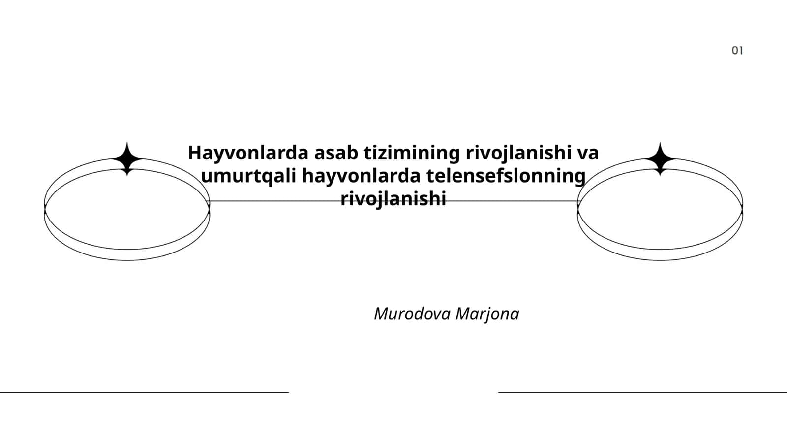 Asab tiziminin umumiy tuzilishi