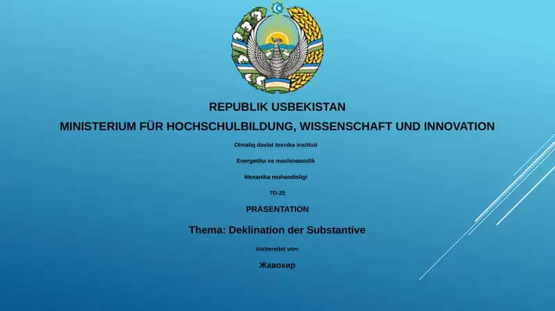 Deklination der Substantive