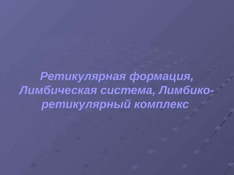 Ретикулярная формация
