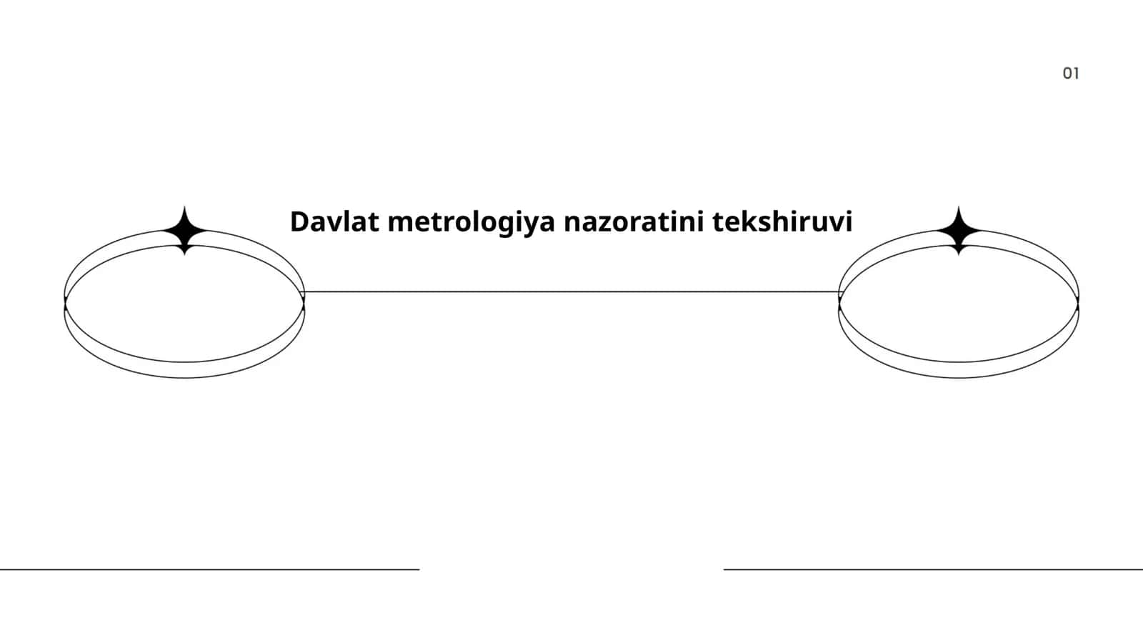Davlat metrologiya nazoratini tekshiruvi