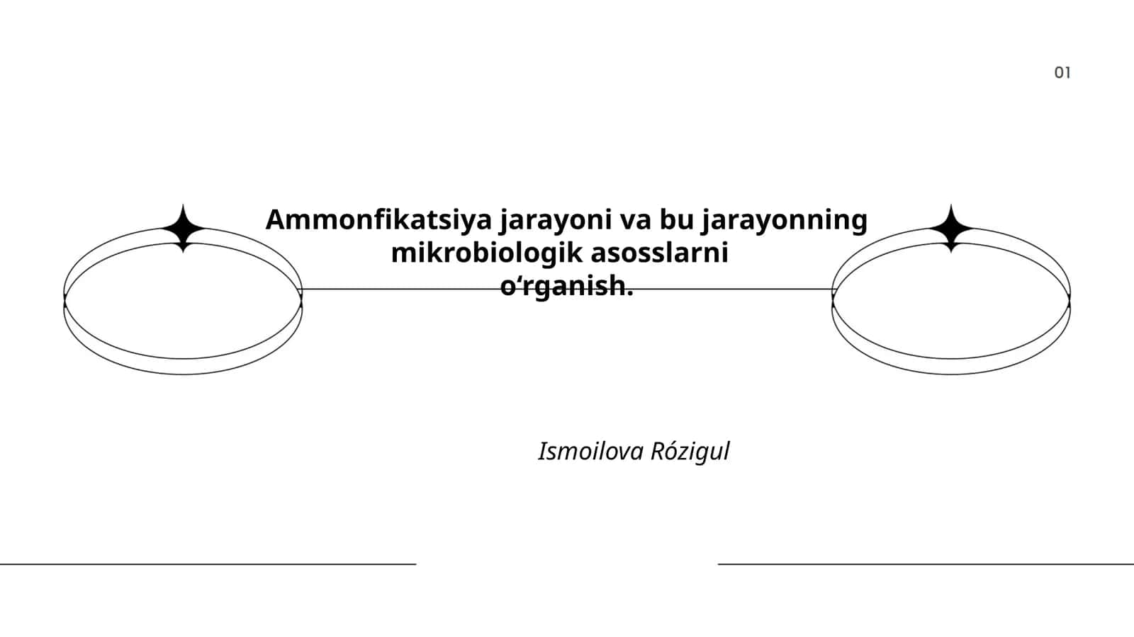 Ammonifikatsiya jarayoni va bu jarayonning mikrobiologik asosslarni o‘rganish