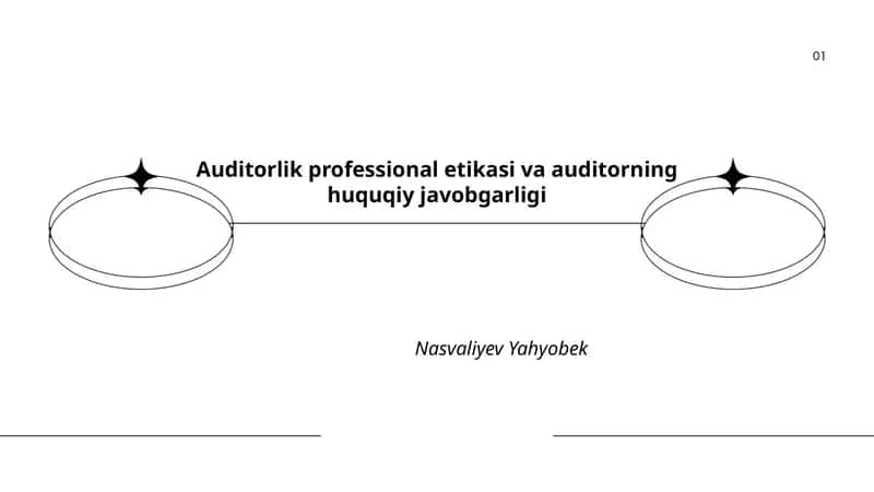 Auditorlik professional etikasi va auditorning huquqiy javobgarligi