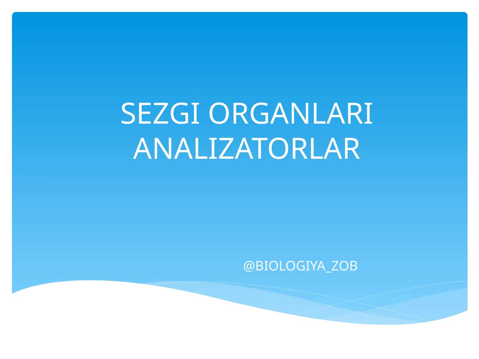 SEZGI ORGANLARI ANALIZATORLAR