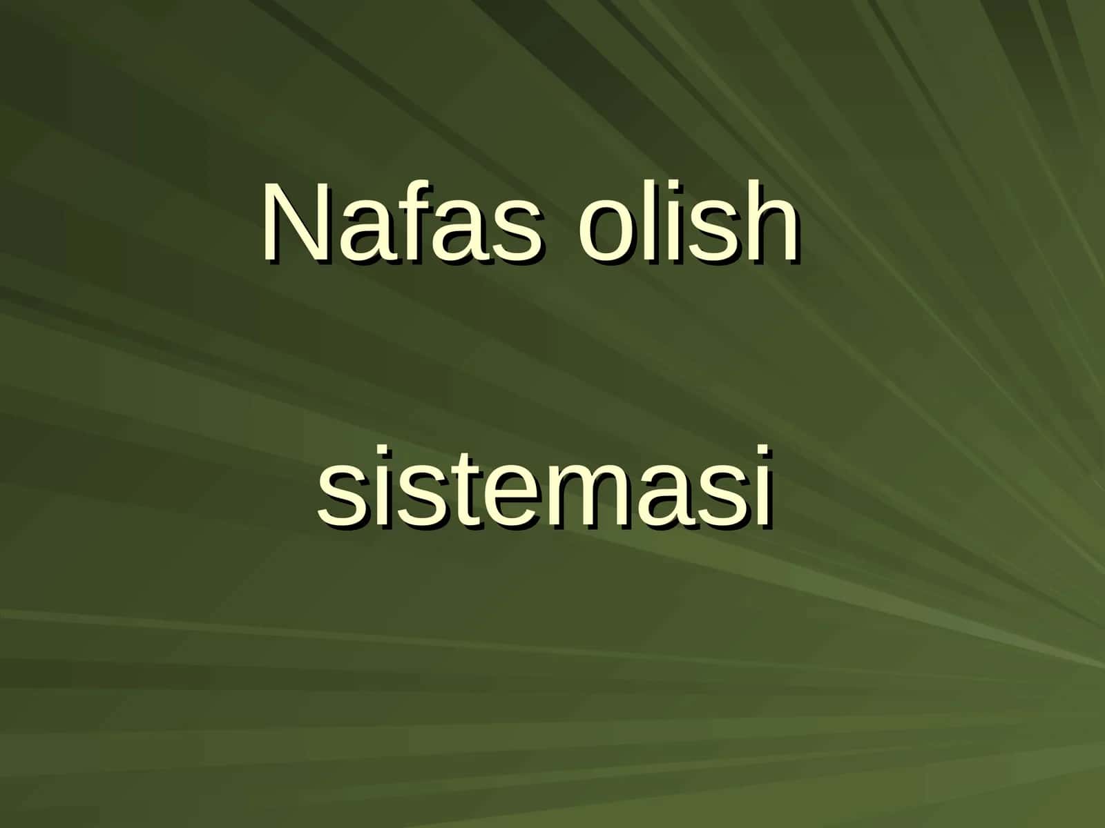 Nafas olishsistemasi