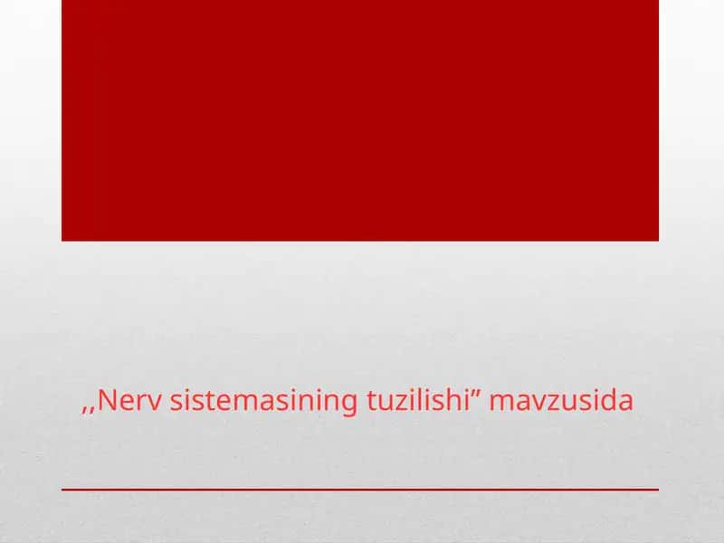 Nerv_sistemasining_tuzilishi