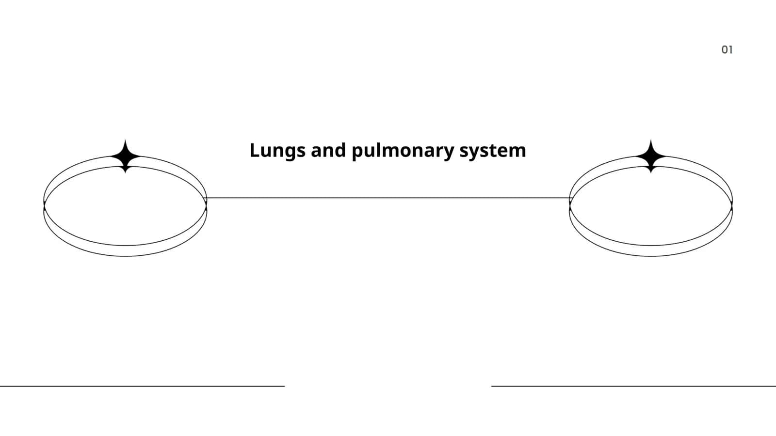 Lungs and pulmonary system