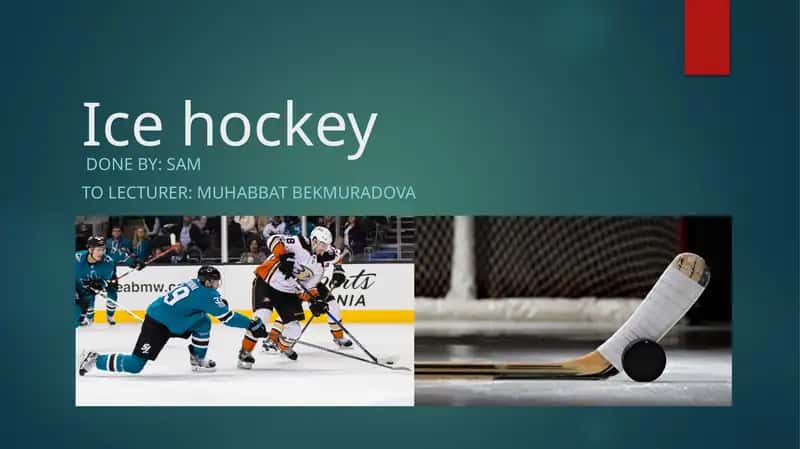Background facts and terminology of ice hockey