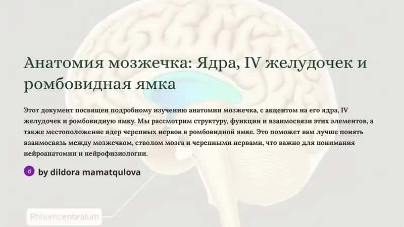 Анатомия мозжечка: Ядра, IV желудочек и ромбовидная ямка