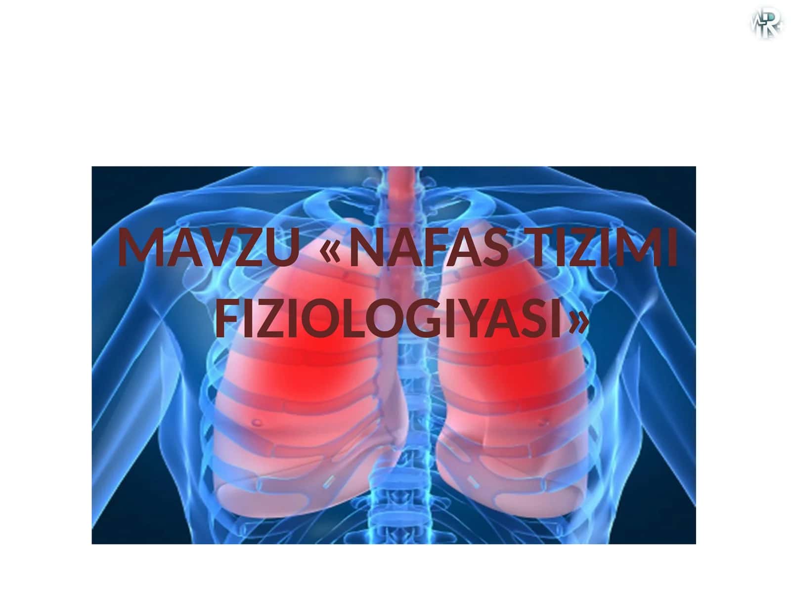 Nafas tizimi fiziologiyasi