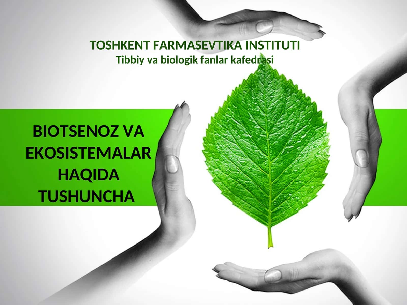 Biotsenoz va ekosistemalar haqida tushuncha