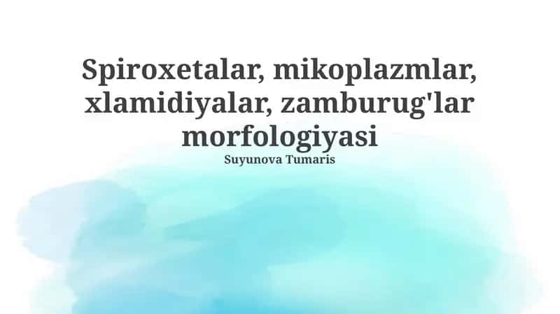 Mikoplazmalar, xlamidiyalar, spiroxetalar va zamburug'lar morfologiyasi
