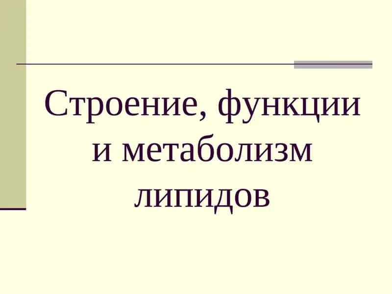 Строение, функции и метаболизм липидов