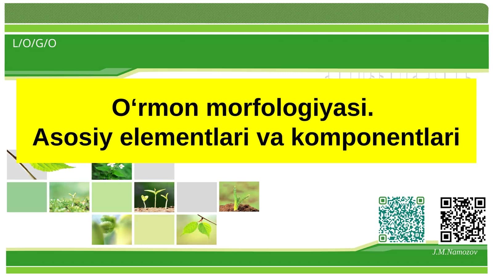 O‘rmon morfologiyasi.Asosiy elementlari va komponentlari