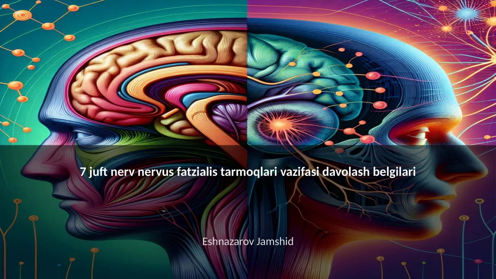 Nervus fatzialis tarmoqlari vazifasi davolash belgilari