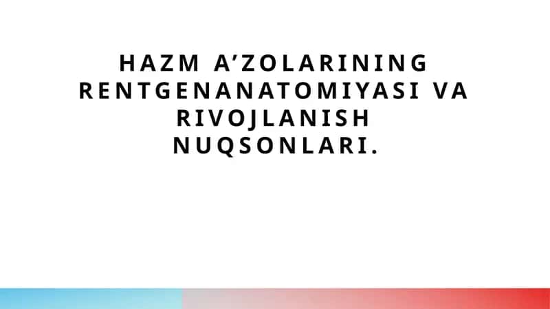 Hazma’zolarining rentgenanatomiyasi