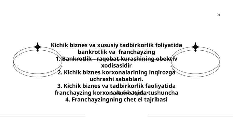 Kichik biznes va xususiy tadbirkorlik foliyatida bankrotlik va franchayzing