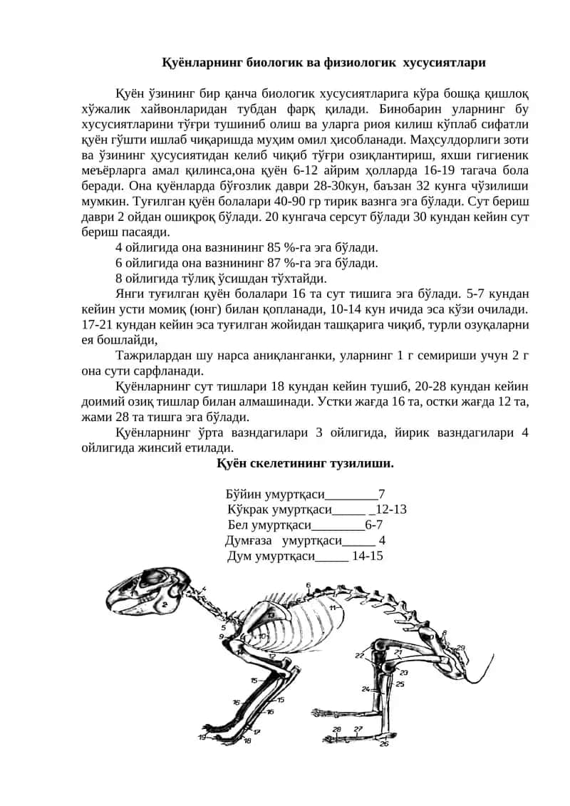 Қуёнларнинг биологик ва физиологик хусусиятлари