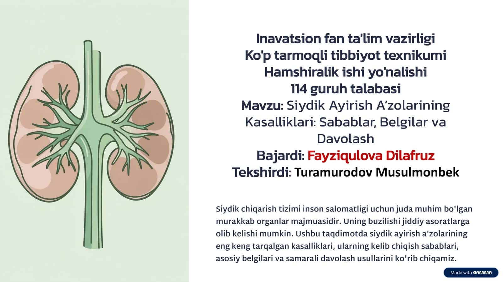 Siydik Ayirish A’zolarining Kasalliklari: Sabablar, Belgilar va Davolash