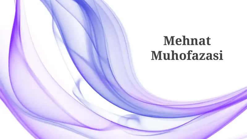 Mehnat Muhofazasi